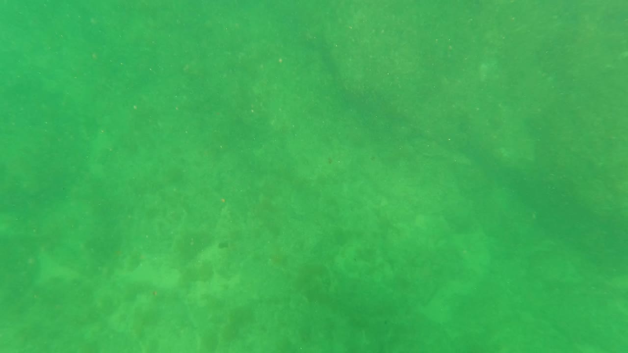 Underwater frame from San Jose Del Cabo with a broad green water cast, softened rocks, sandy patches, and no visible people.