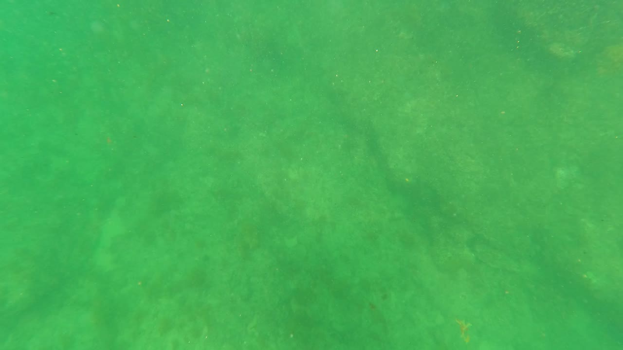 Mid-clip underwater view in San Jose Del Cabo where green haze softens the rocky bottom and sandy areas, with no visible people or animals.