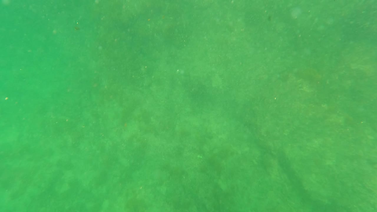 Later underwater frame from San Jose Del Cabo showing a dim green view of rocks and sandy seabed with no visible people.