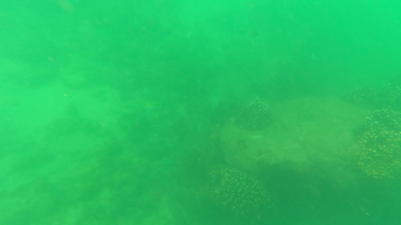 Underwater frame from San Jose Del Cabo with a soft green cast, suspended haze, and coral-like rocky formations barely visible below, with no visible people.