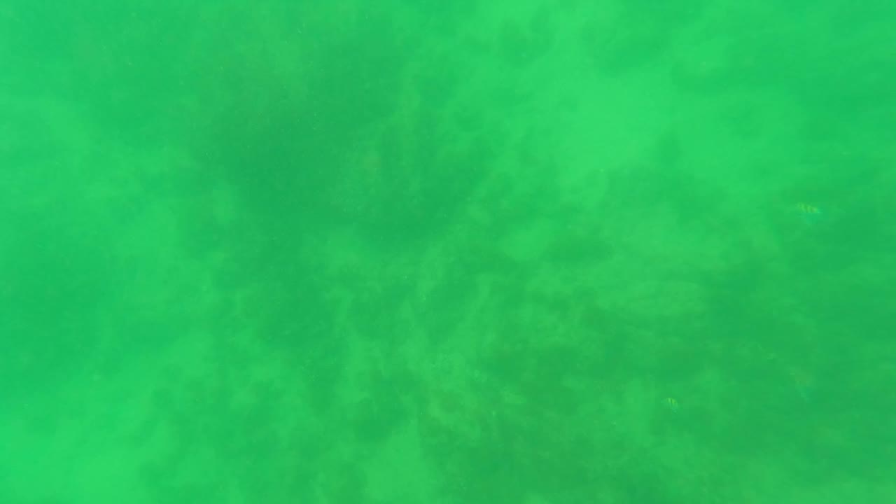 San Jose Del Cabo underwater view with green water, darker patches of rocks or coral growth in the midground, and no visible people.