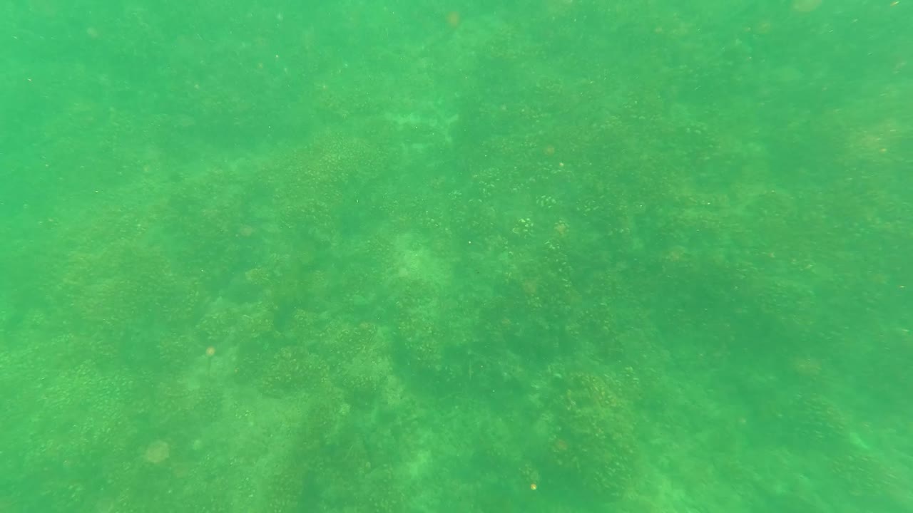 Soft underwater light reveals algae-covered rock formations and pale seabed texture in San Jose Del Cabo, Baja California Sur, with no visible people.