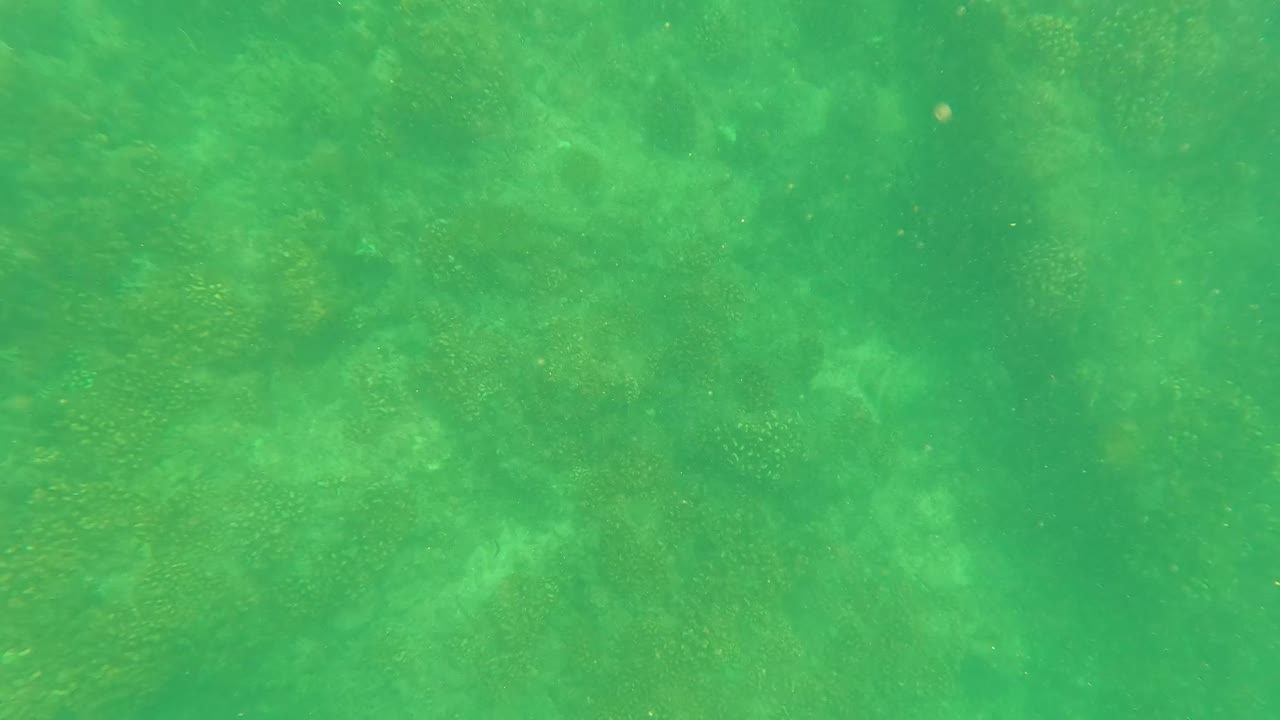Green water over coral-like seabed formations