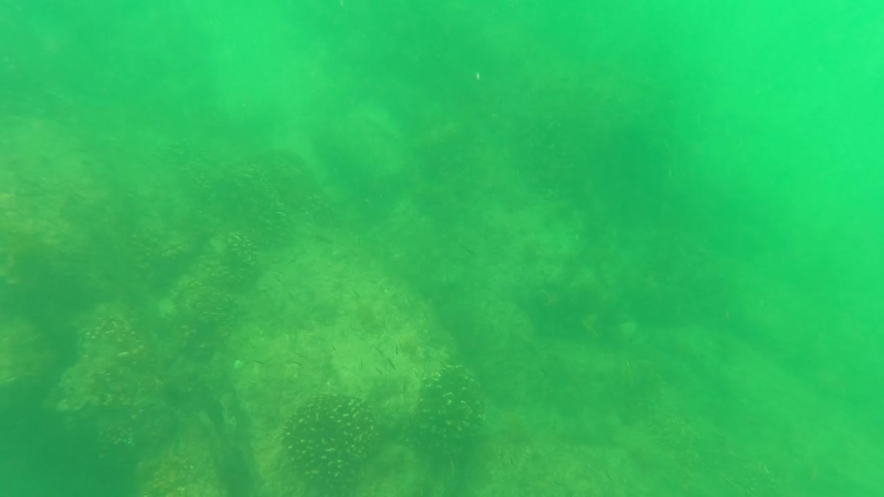 Green murky water in San Jose Del Cabo with a soft band of coral reef detail near the upper frame and no visible people.