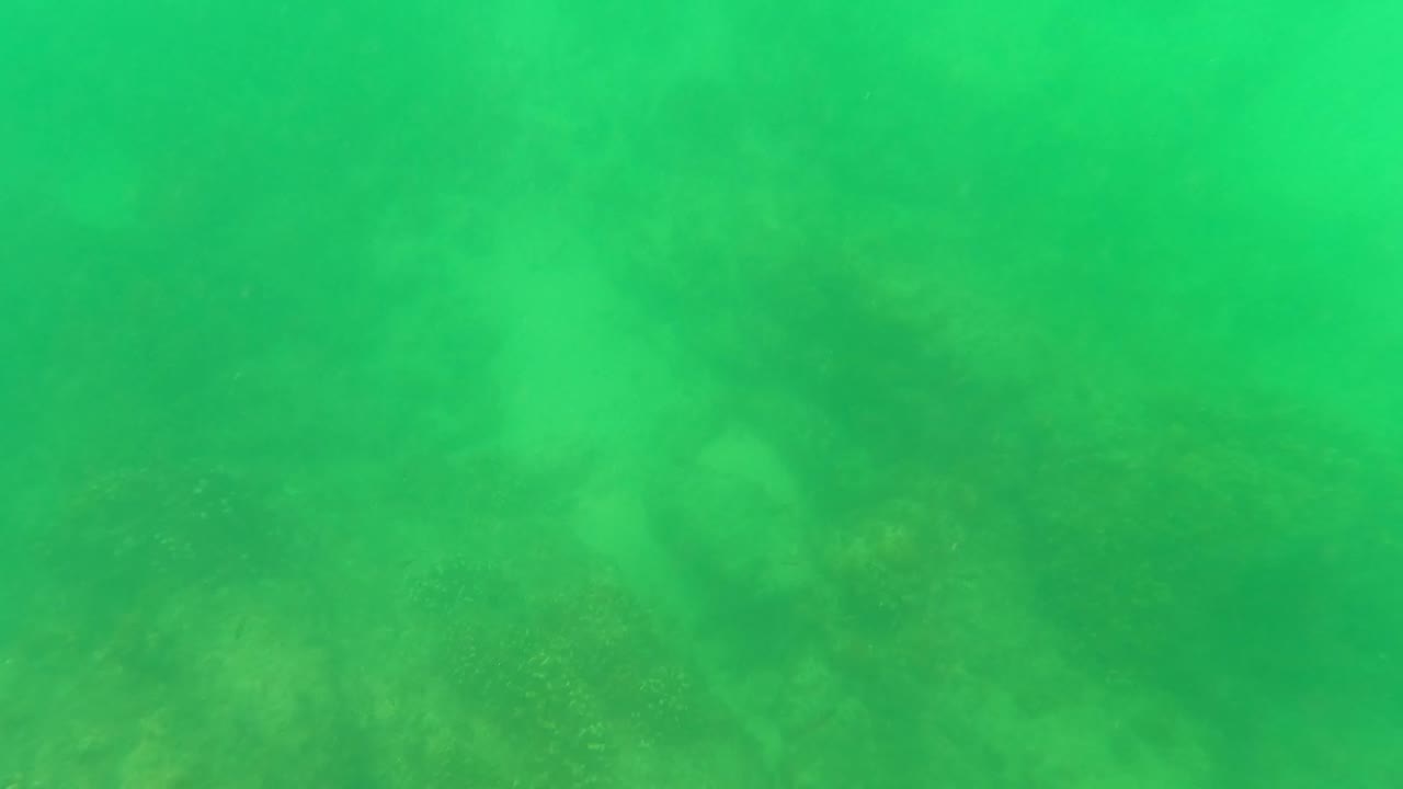 Cloudy green underwater view from San Jose Del Cabo with indistinct coral formations in the background and no visible people.