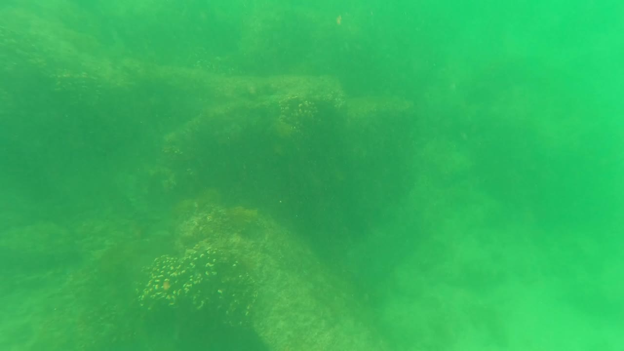Cloudy underwater view in San Jose del Cabo with rounded rocks and algae softened by green haze, with no visible people in frame.