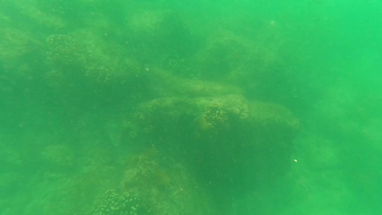 Low underwater view from San Jose del Cabo looking across darker algae-covered rocks beneath green water, with no visible people.