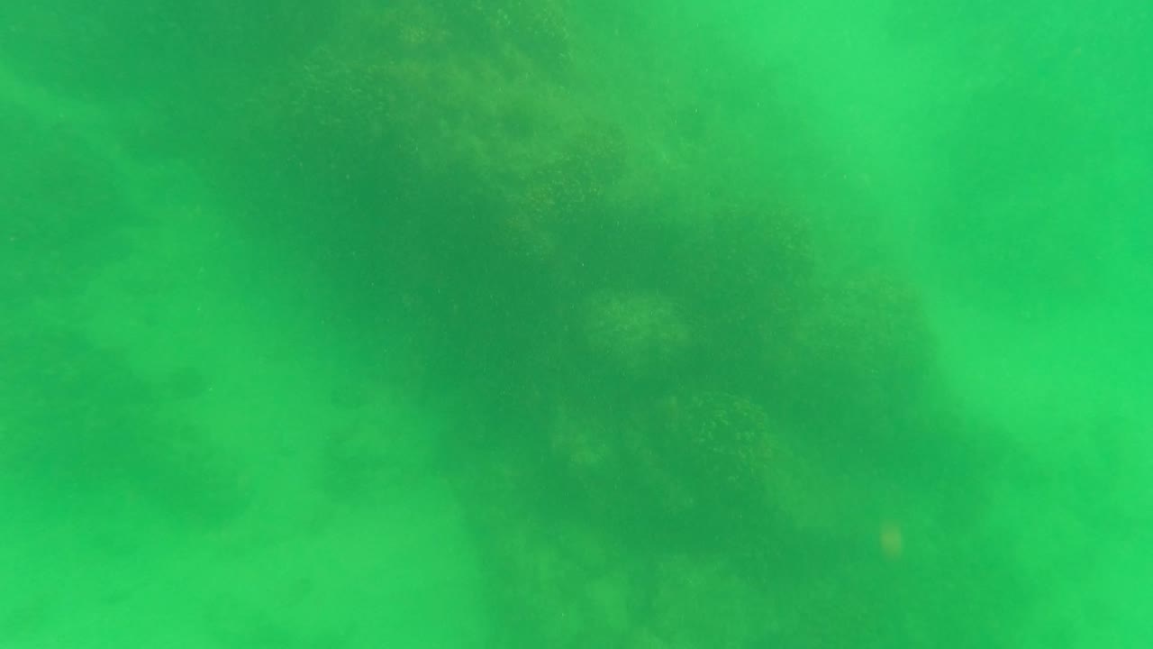Second underwater frame in San Jose del Cabo holds on green water with soft reef shapes and sandy seabed detail, with no visible people.
