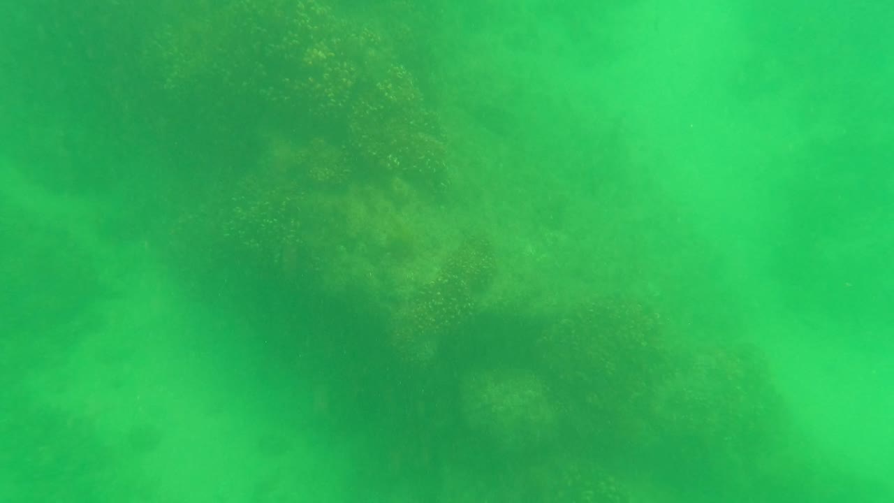 Mid-clip frame in San Jose del Cabo shows green shallow water over darker coral or rock areas and faint marine vegetation, with no visible people.