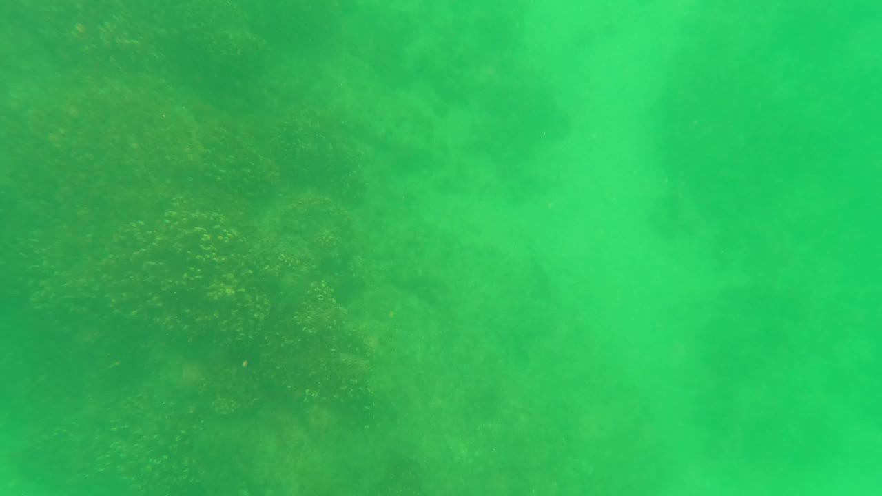 Fourth frame in San Jose del Cabo shows a broad green underwater wash over sandy bottom and scattered reef texture, with no visible people.