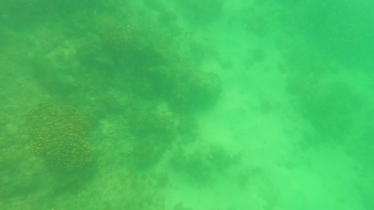 Underwater San Jose del Cabo view with pale sandy seabed, dark reef forms, and diffuse green water softening the background, no visible people.