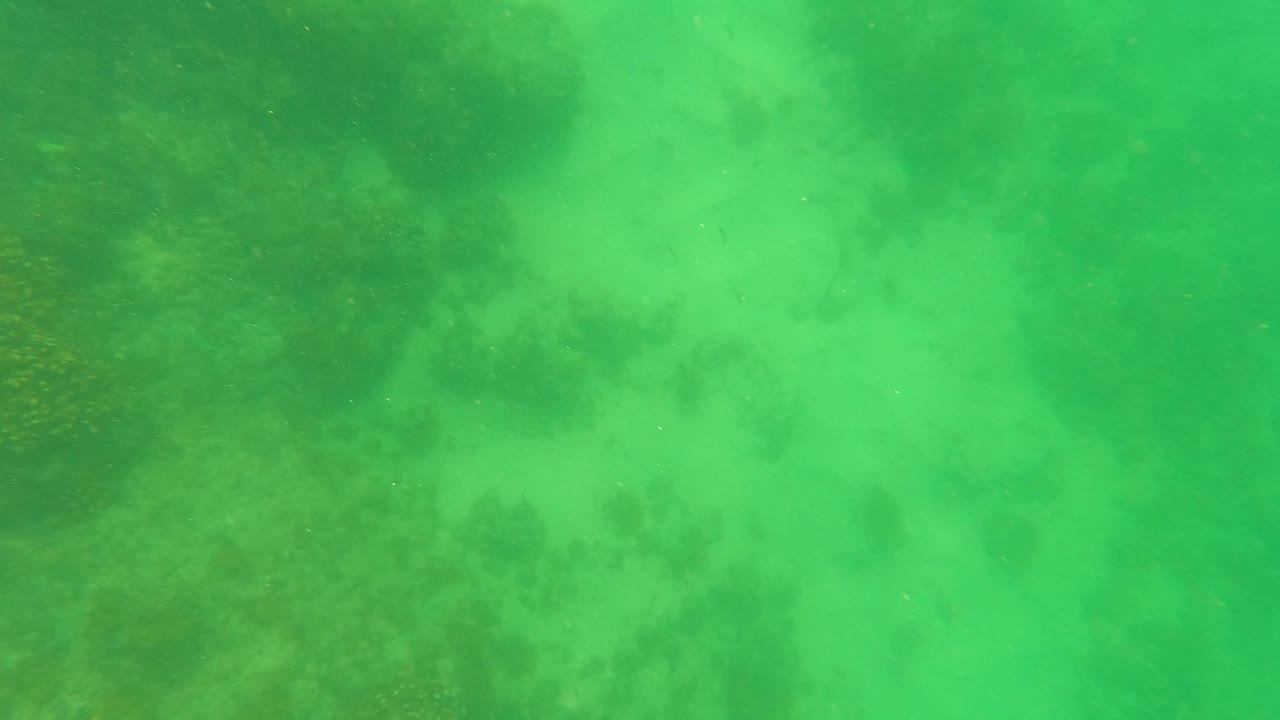 San Jose del Cabo seabed frame with cloudier green water, darker reef mass along the left side, and pale sand below, no visible people.