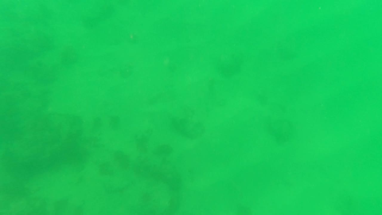 Turquoise ocean surface in San Jose del Cabo with rippling water, bright sun reflections, and pale foam near the top edge, no visible people.