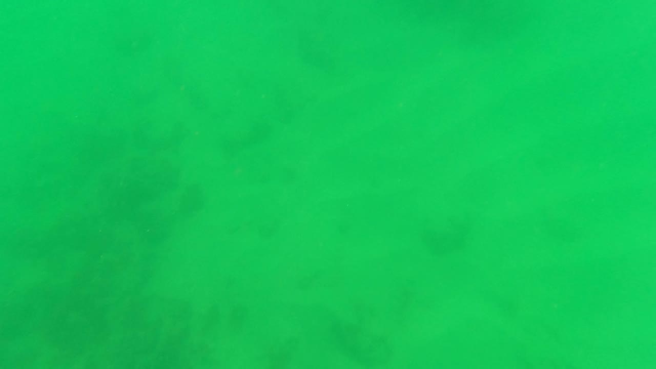 Close surface view of San Jose del Cabo water with a patch of white foam, small bubbles, and scattered sunlight reflections across green-blue ripples, no visible people.