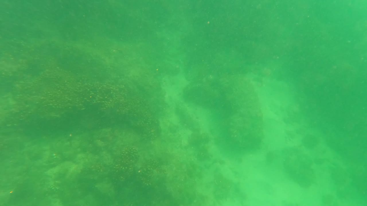 Green underwater view of rocks and marine growth