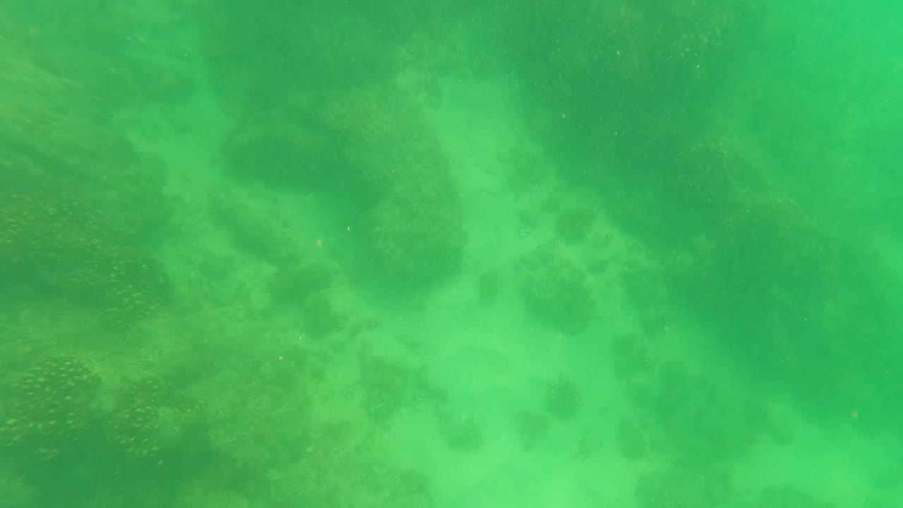 Underwater frame from San Jose Del Cabo with green water, uneven rocks, and faint marine growth receding into the background, with no visible people.