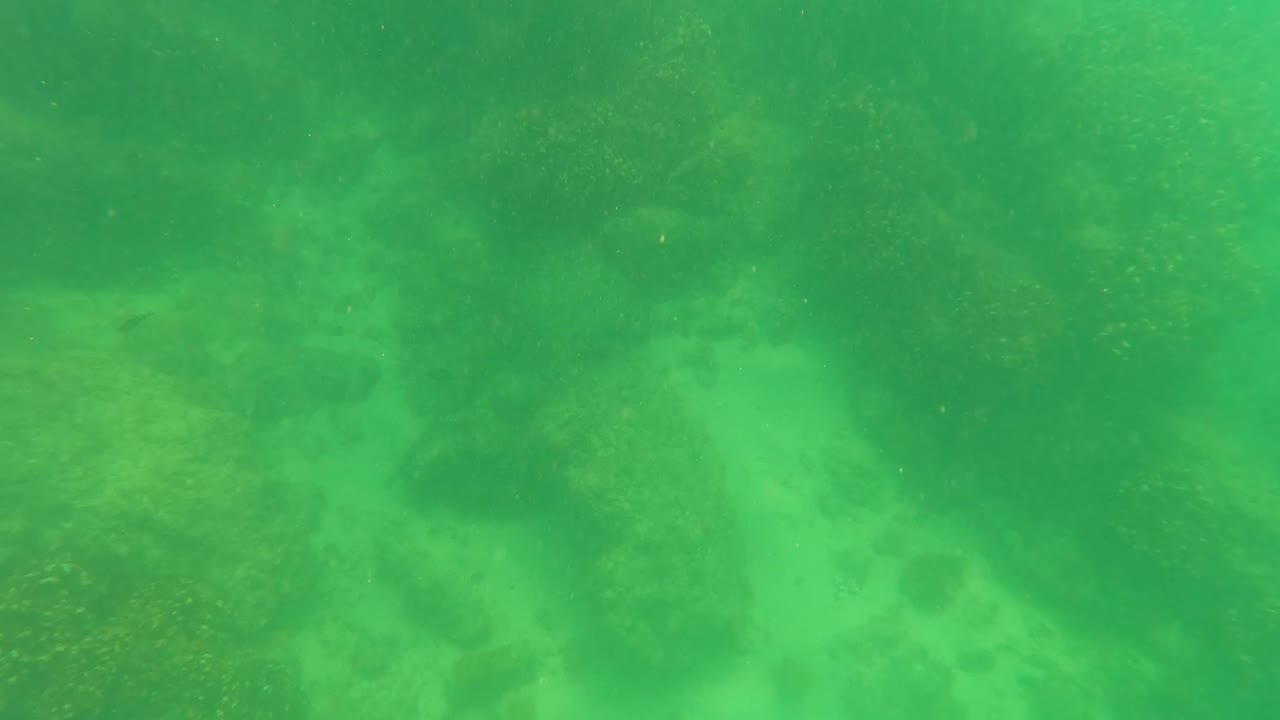 San Jose Del Cabo underwater view with pale sandy patches, darker rock shapes, and green water filling the frame, with no visible people.