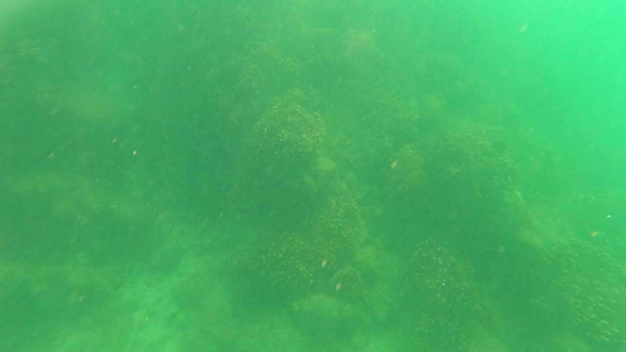 Dim green underwater frame in San Jose Del Cabo showing subdued rock forms and marine growth beneath hazy water, with no visible people.