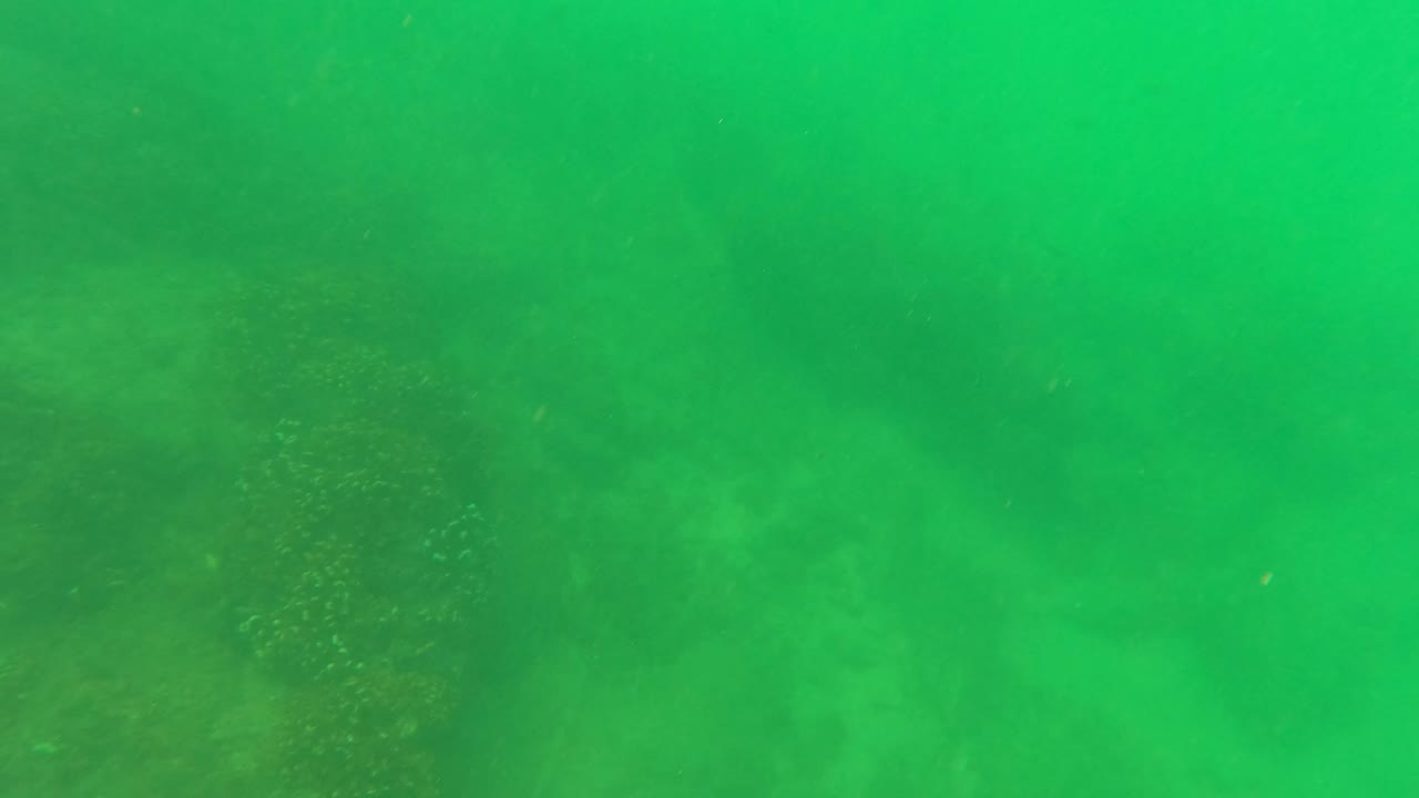 Green underwater frame in San Jose Del Cabo with faint coral or rock forms below filtered light and no visible people.