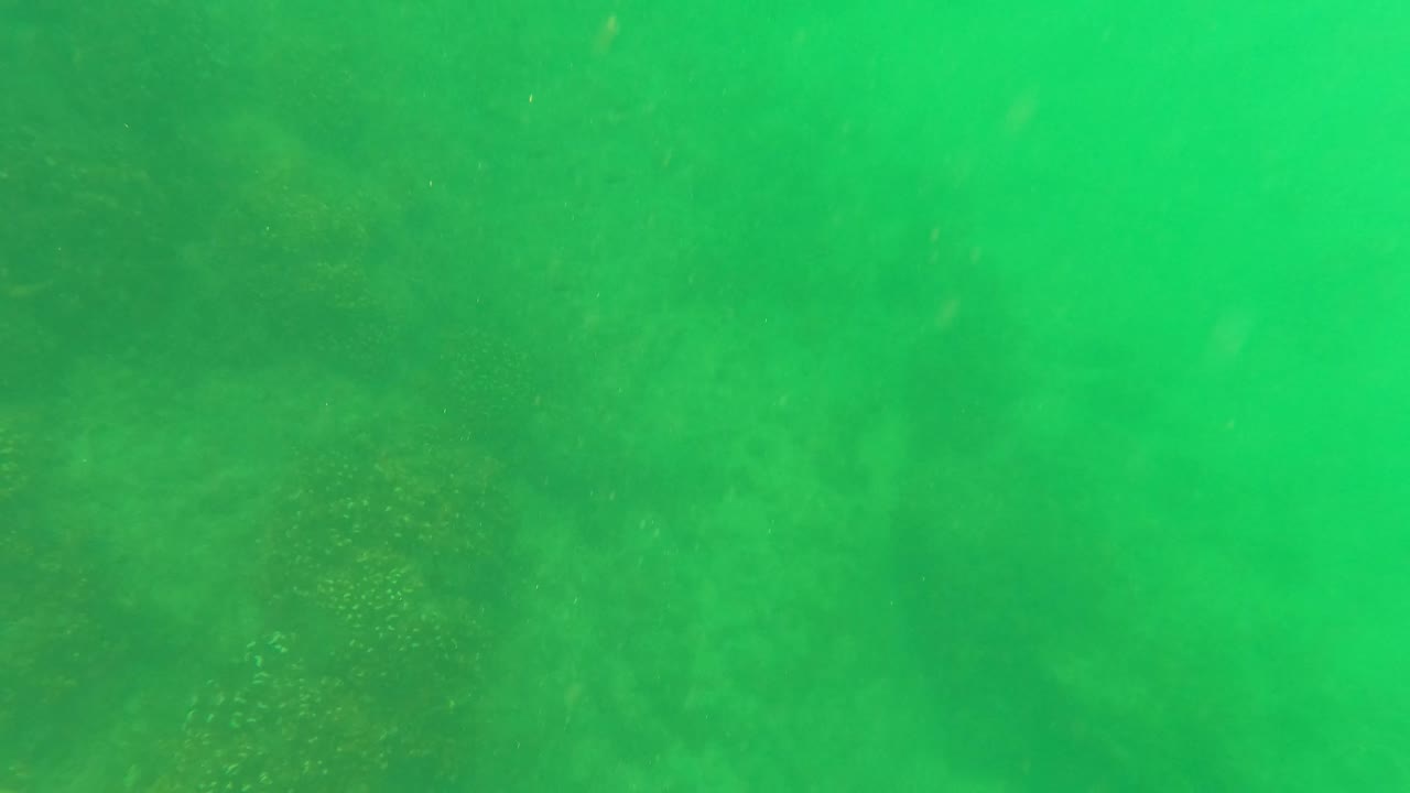Underwater view in San Jose Del Cabo with green water, softened coral or rocky seabed shapes, and no visible people.