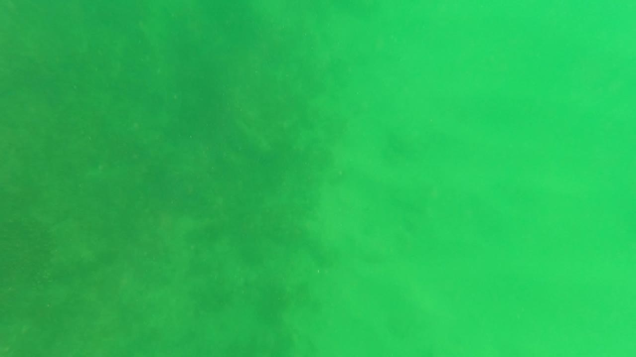 Green ocean frame from San Jose del Cabo with soft seaweed or kelp shadows in the background and fine particles suspended in the water, with no visible people.