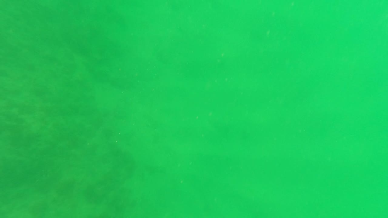 Green underwater view in San Jose del Cabo with soft haze, faint seabed texture, suspended particles, and no visible people.
