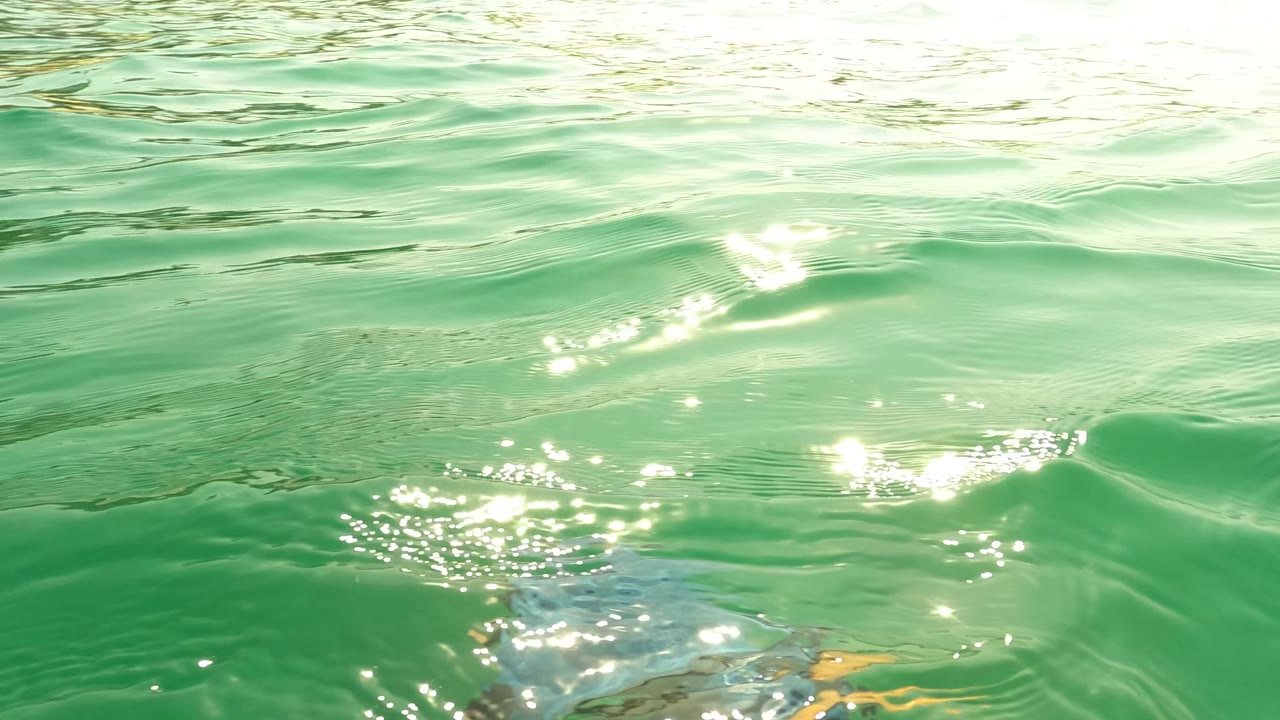 Rippled green ocean surface water in San Jose del Cabo catches bright sun reflections near the start of the clip, with no visible people.