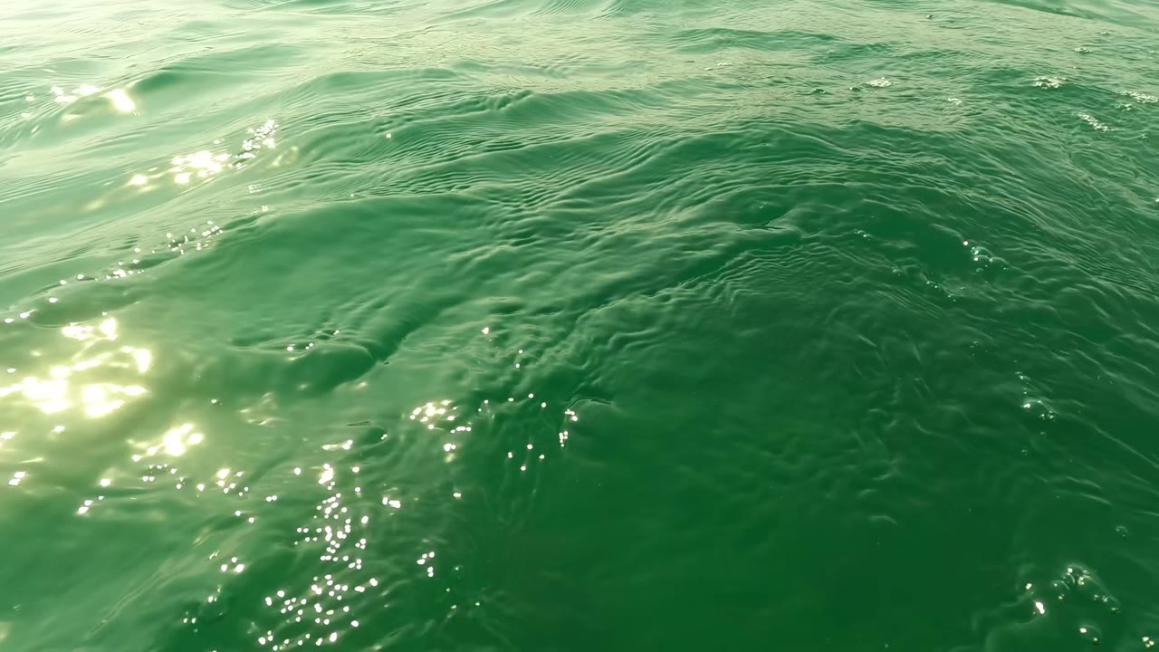 Green underwater view with soft shadowy bottom shapes.