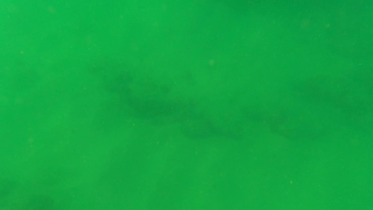 A green underwater frame in San Jose del Cabo shows the bottom as soft darker shapes through the water, with no visible people.