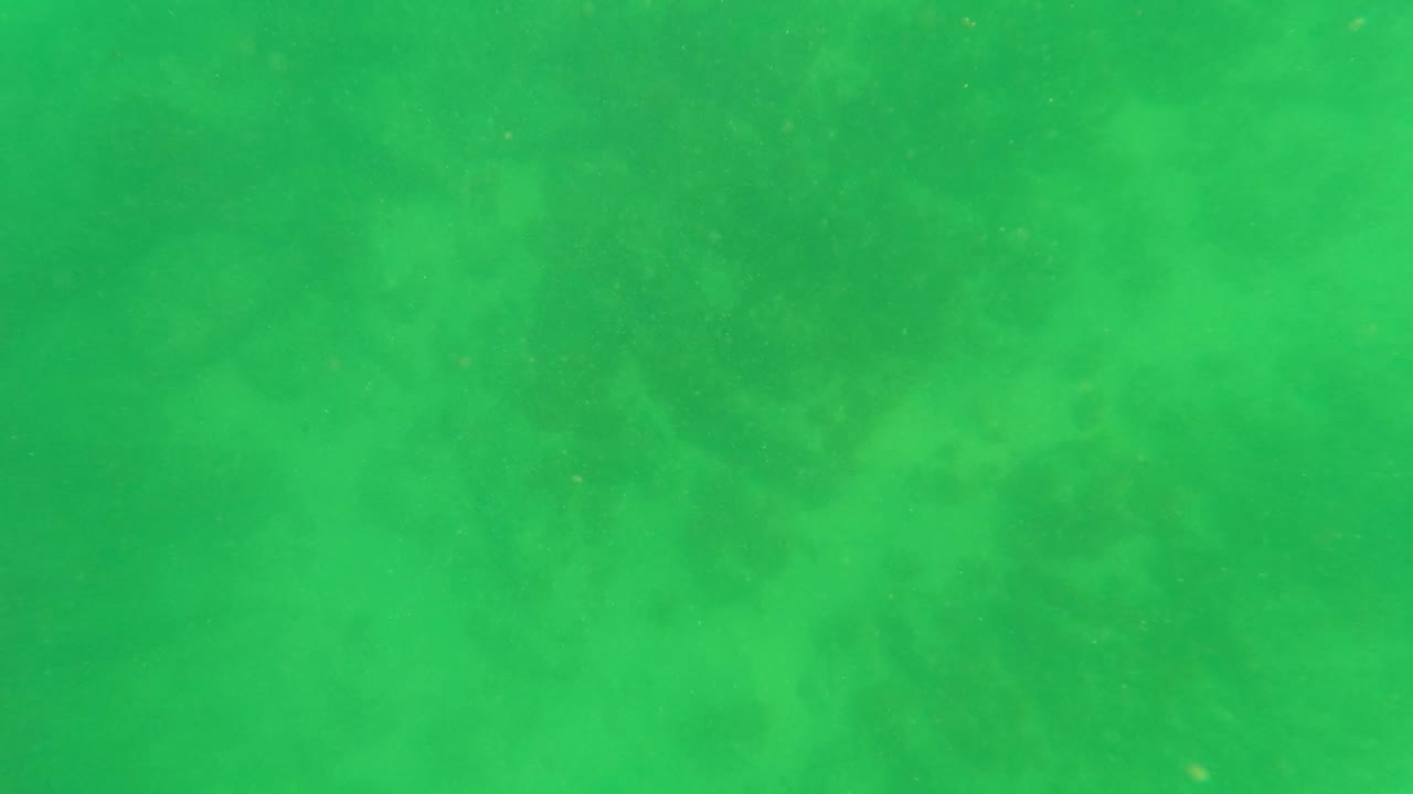 Green underwater frame with subtle clouding and particles