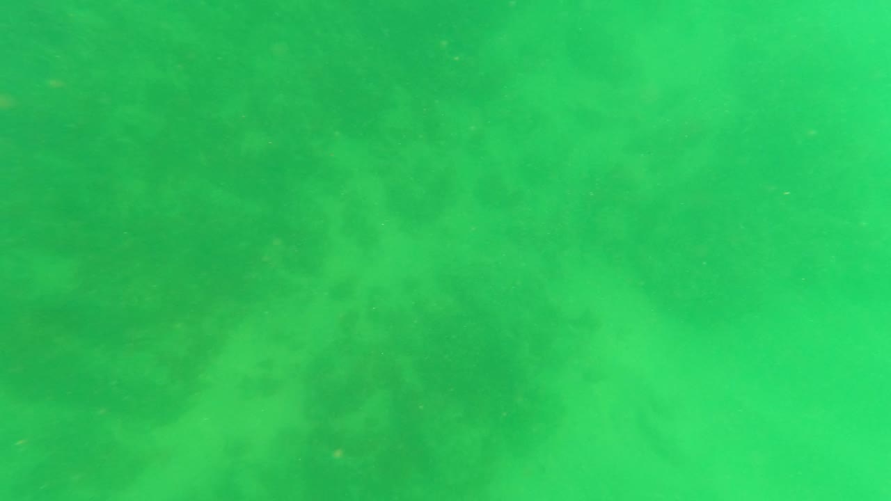 Submerged San Jose del Cabo frame with green water, light haze, faint particulate matter, and no distinct seabed or people visible.