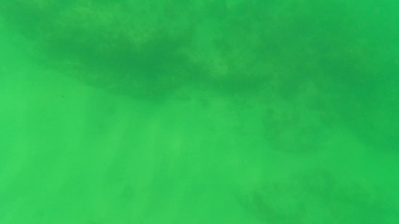Green underwater view in San Jose Del Cabo with a faint sandy and rocky seabed visible through cloudy water, no visible people.