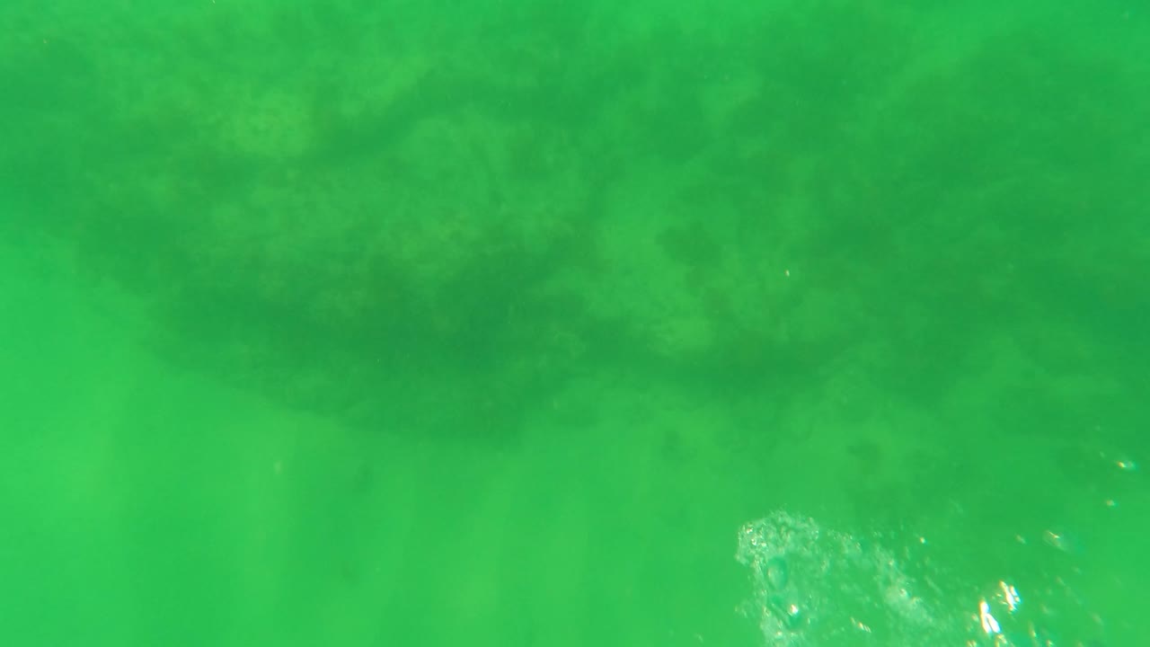Underwater view with darker rocky shapes beneath green water.