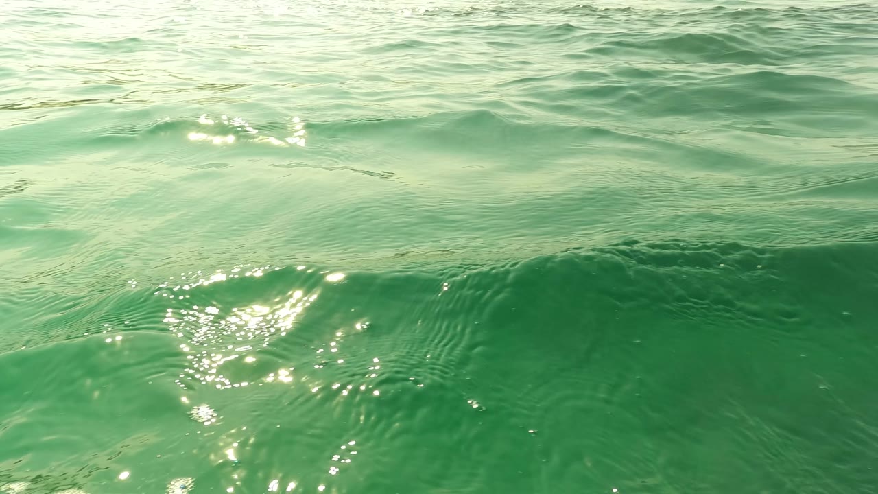 Sunlight reflecting on rippled green ocean surface.