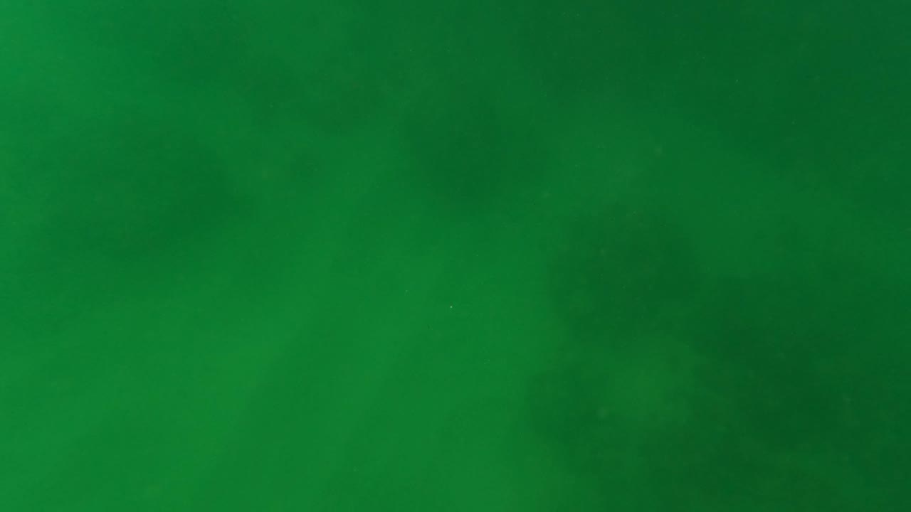 The camera is underwater in San Jose del Cabo, looking through green water toward darker seabed shapes with no visible people.