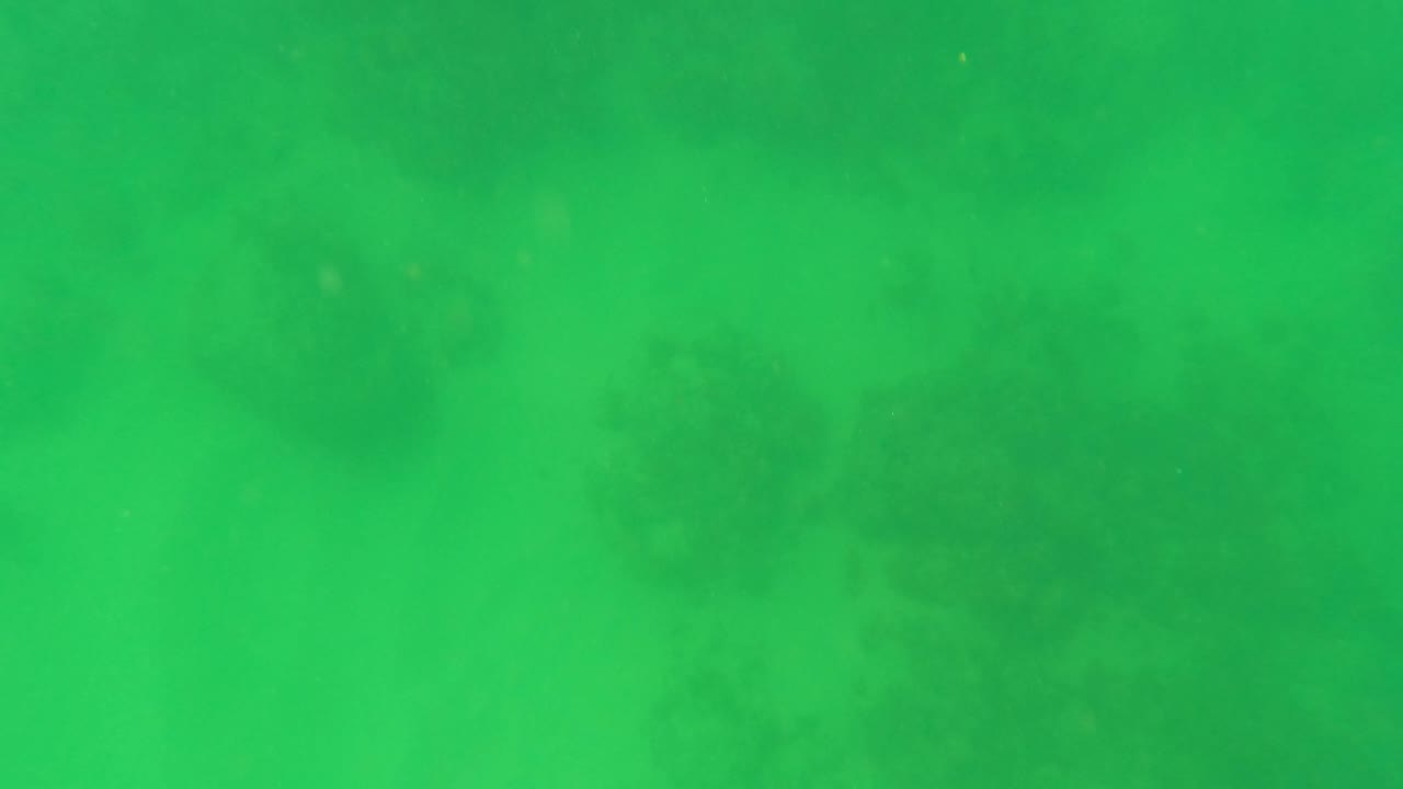 A darker seabed area appears along the left side beneath green water in San Jose del Cabo, with faint marine growth and no visible people.