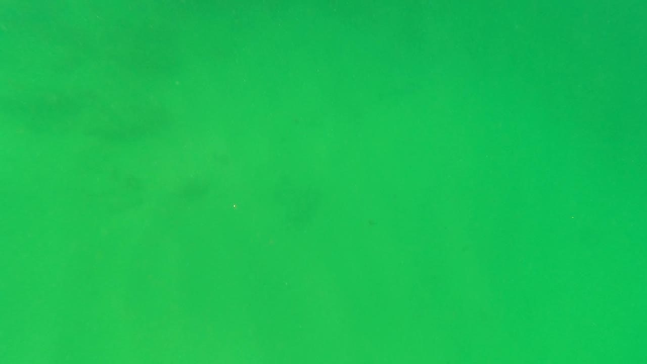 Green-tinted underwater view in San Jose del Cabo with soft suspended haze, darker water shapes near the top, and no visible people.