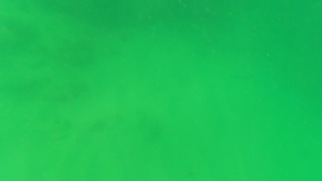 Green underwater frame in San Jose del Cabo with faint shadow bands, small particles in the water, and no visible people.