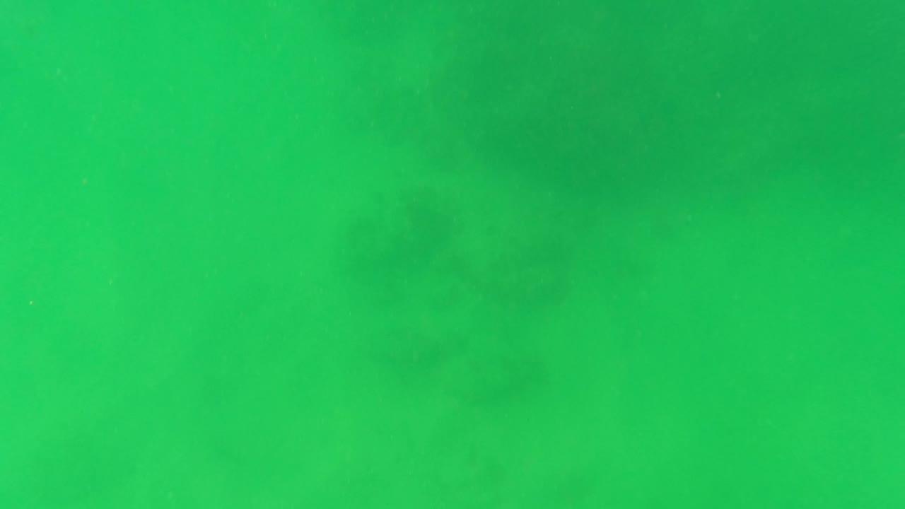Submerged green water in San Jose del Cabo with darker blurred patches near the upper right and no visible people.