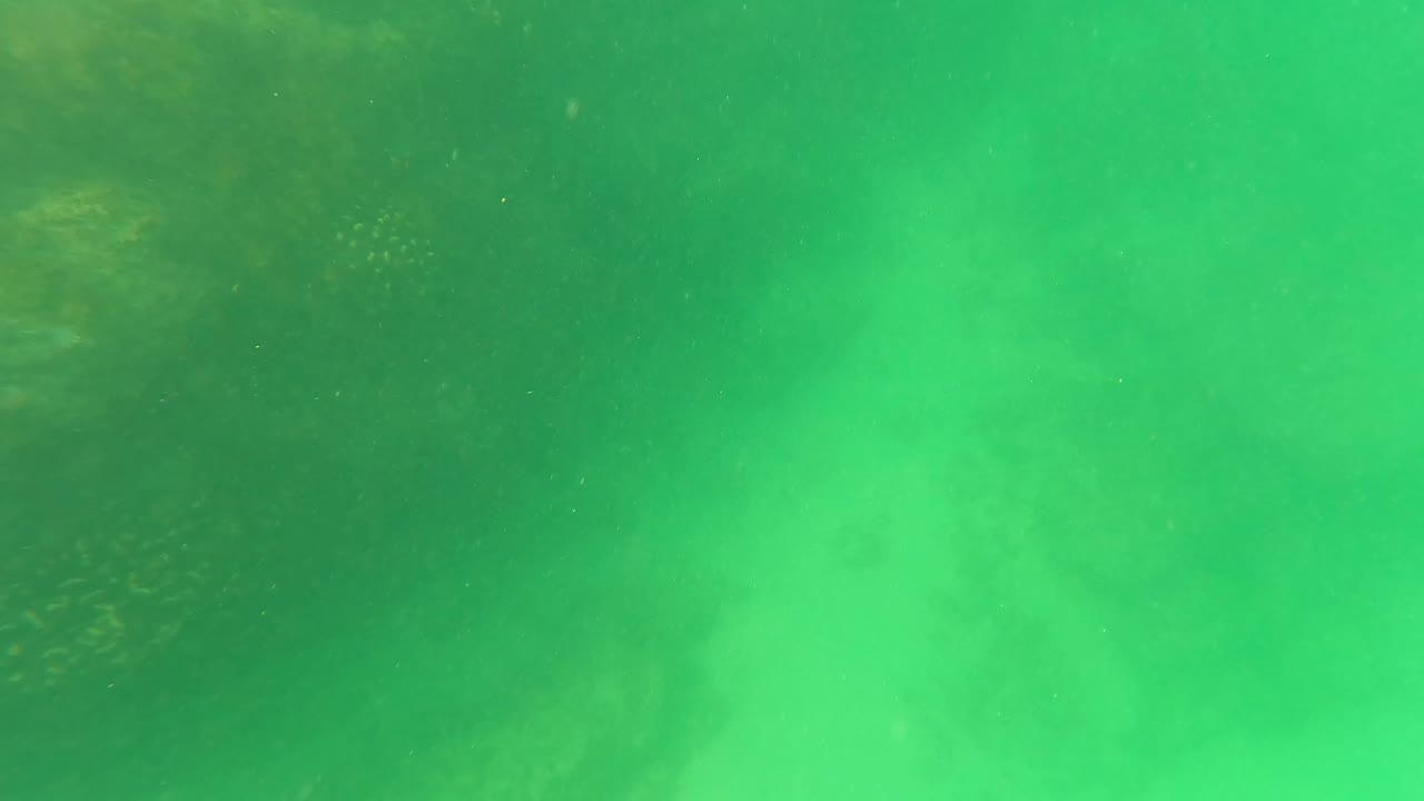 Green cloudy water begins to obscure the rocky seabed in San Jose Del Cabo, Baja California Sur, while fish are faint or out of view and no people are visible.