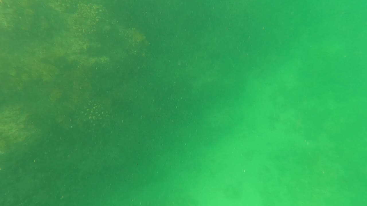 Cloudy green underwater view with faint rocks