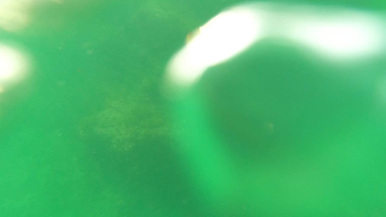 San Jose del Cabo underwater frame with a bright blurred light patch near the top, green water, rocks, algae, and no visible people.