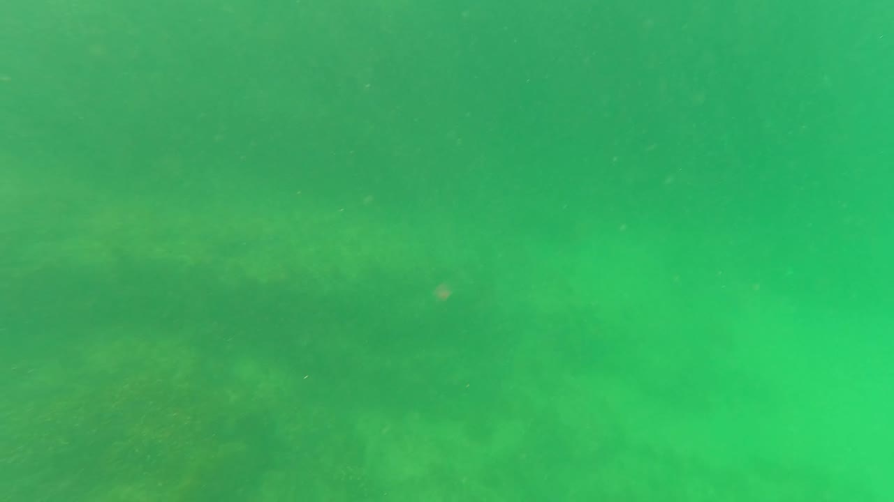 Underwater San Jose del Cabo view with green water, dim rocky seabed forms, algae cover, suspended particles, and no visible people.