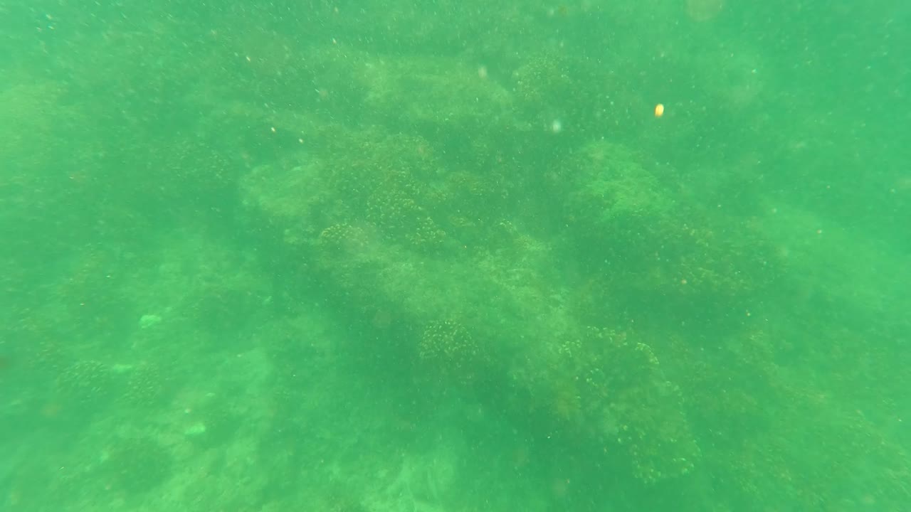 A wide underwater view shows uneven coral and rock formations under green shallow water in San Jose del Cabo, with no visible people.