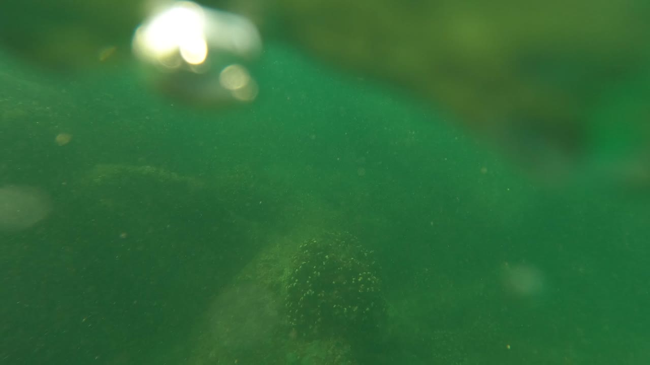 Bright glare on the rippled water surface frames green underwater reef forms in San Jose Del Cabo, with no visible people.