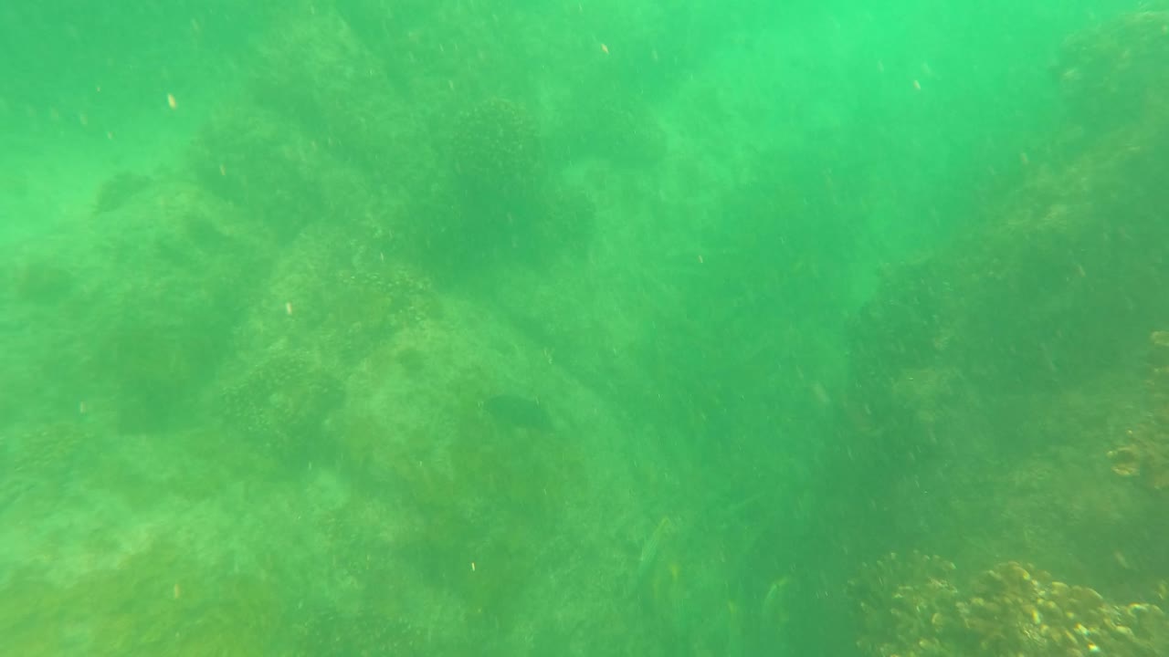 Rounded seabed rocks and murky green water fill the San Jose Del Cabo frame, with small particles drifting and no visible people.