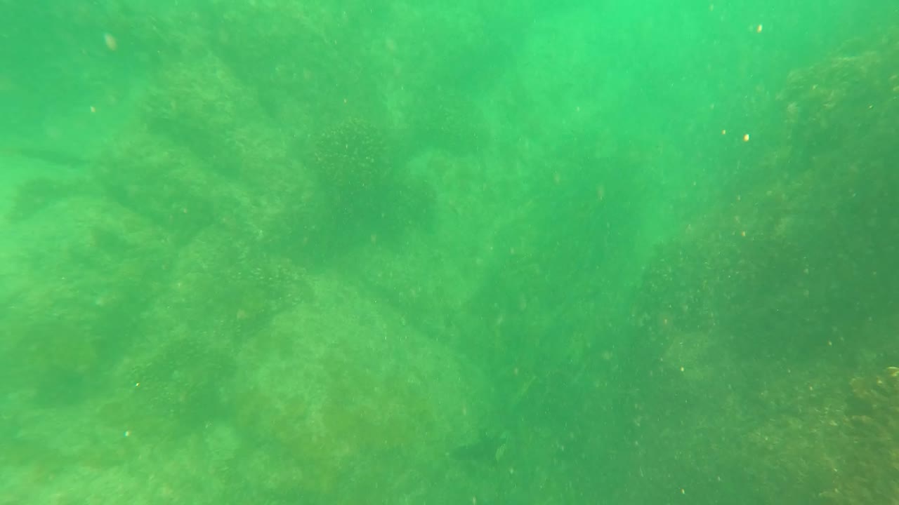 A closer underwater section shows pale rocks at left and darker growth in the midground in San Jose Del Cabo, with no visible people.