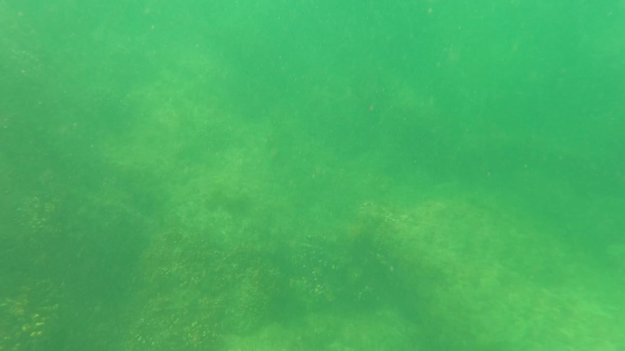 Green underwater view over rocky seabed