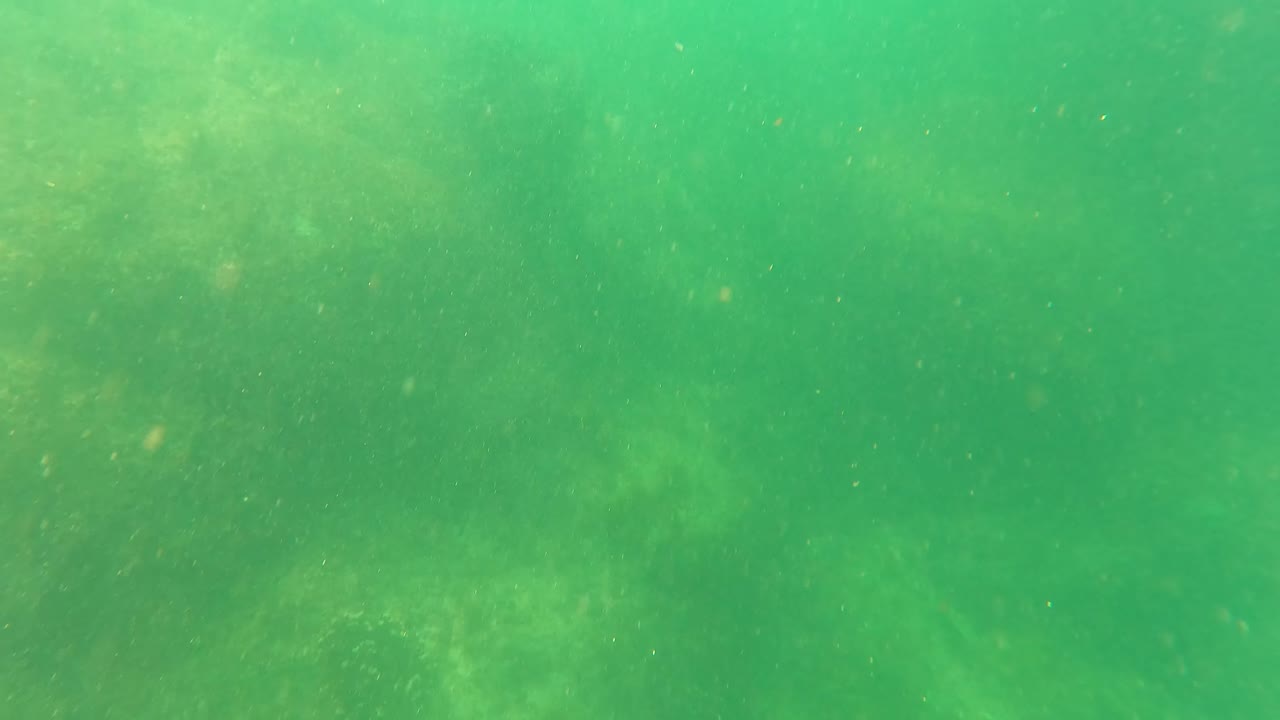 Underwater frame in San Jose Del Cabo showing green water, faint rocky seabed, and small drifting particles with no visible people.