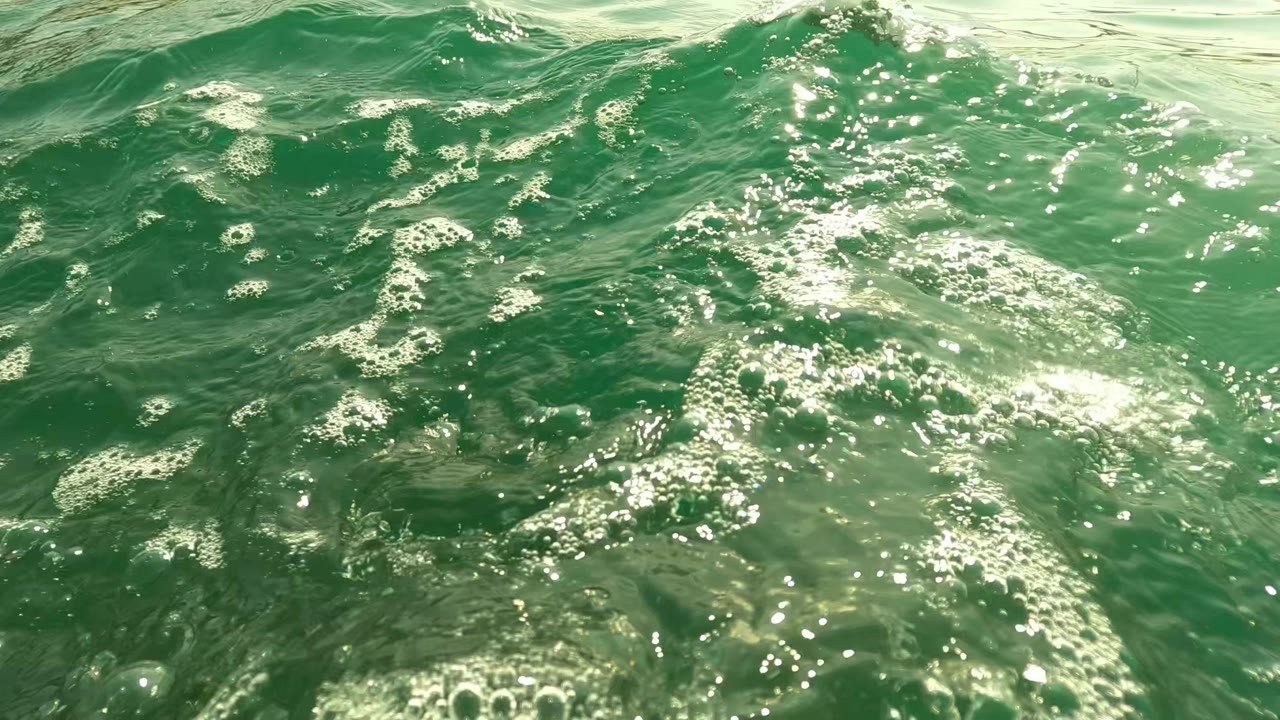 Surface-level green ocean water in San Jose del Cabo with choppy waves, white foam, bright glare, and no visible people.